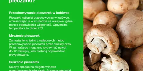 Jak przechowywać pieczarki? W lodówce, przez mrożenie lub suszenie. Świeże pieczarki w szufladzie na warzywa.