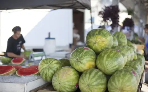 Stoisko z arbuzami na targu. Widać stos zielonych arbuzów i kilka pokrojonych na talerzu z lodem. Sprzedawca pokazuje, jak pokroić arbuza.