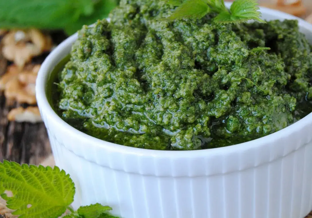Pesto z pokrzywy w białej miseczce, obok orzech&oacute;w włoskich i świeżych liści pokrzywy.
